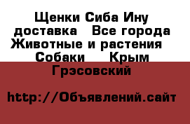 Щенки Сиба Ину доставка - Все города Животные и растения » Собаки   . Крым,Грэсовский